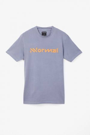 NNormal Organic cotton t-shirt Niebieskie | EYK725403